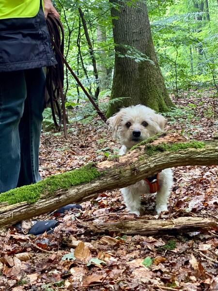 Sandy Wald